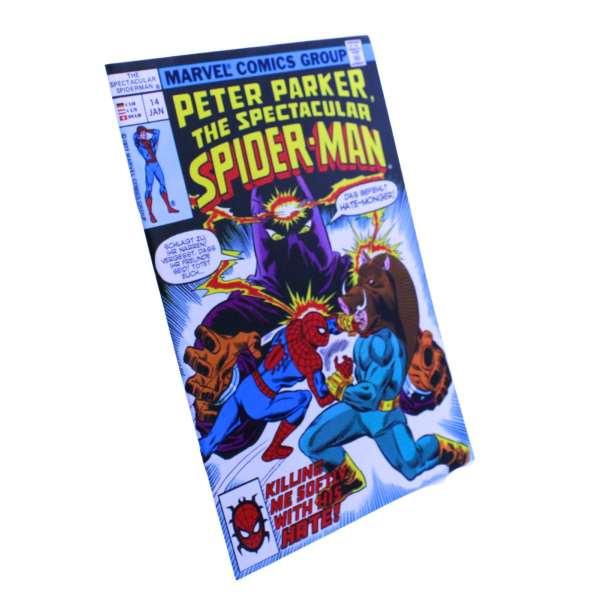 Spectacular Spider-Man 14 Panini 2006 Neuwertig | Hoppla-Stuff